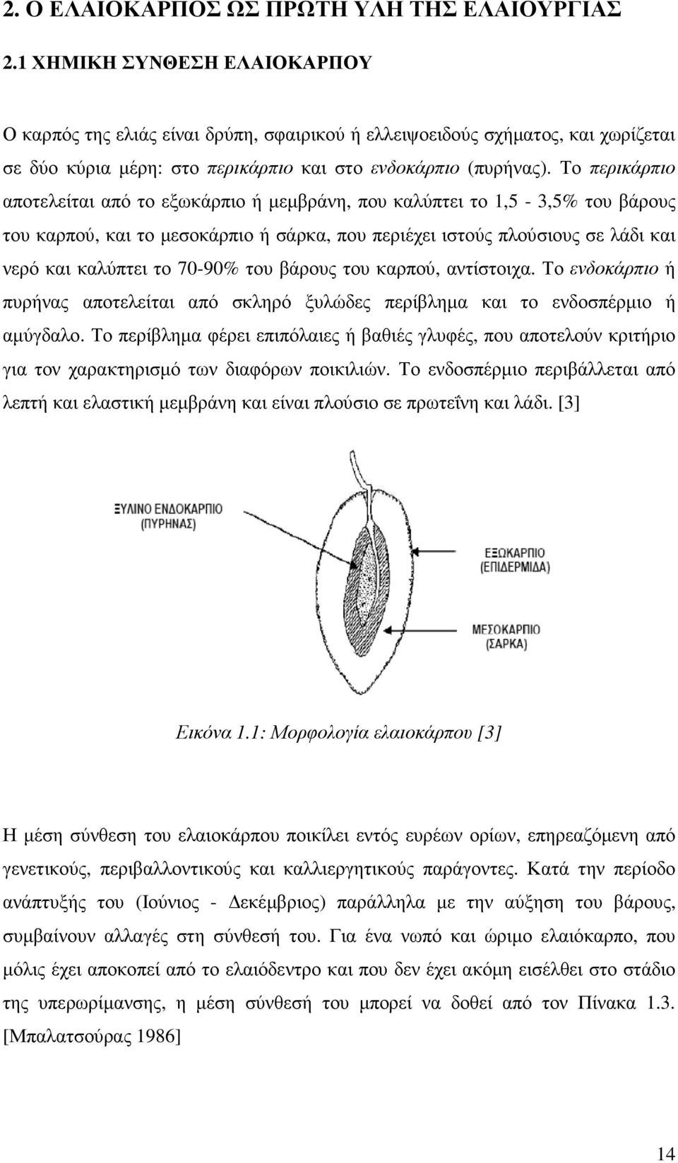 Το περικάρπιο αποτελείται από το εξωκάρπιο ή µεµβράνη, που καλύπτει το 1,5-3,5% του βάρους του καρπού, και το µεσοκάρπιο ή σάρκα, που περιέχει ιστούς πλούσιους σε λάδι και νερό και καλύπτει το 70-90%