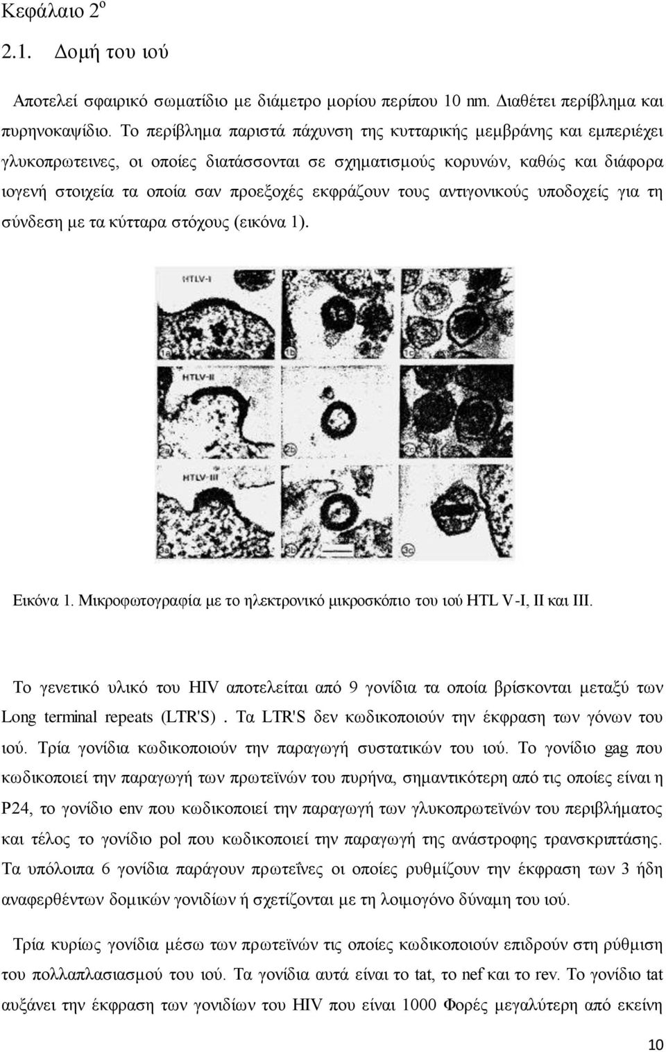 τους αντιγονικούς υποδοχείς για τη σύνδεση με τα κύτταρα στόχους (εικόνα 1). Εικόνα 1. Μικροφωτογραφία με το ηλεκτρονικό μικροσκόπιο του ιού HTL V-I, ΙΙ και ΙΙΙ.