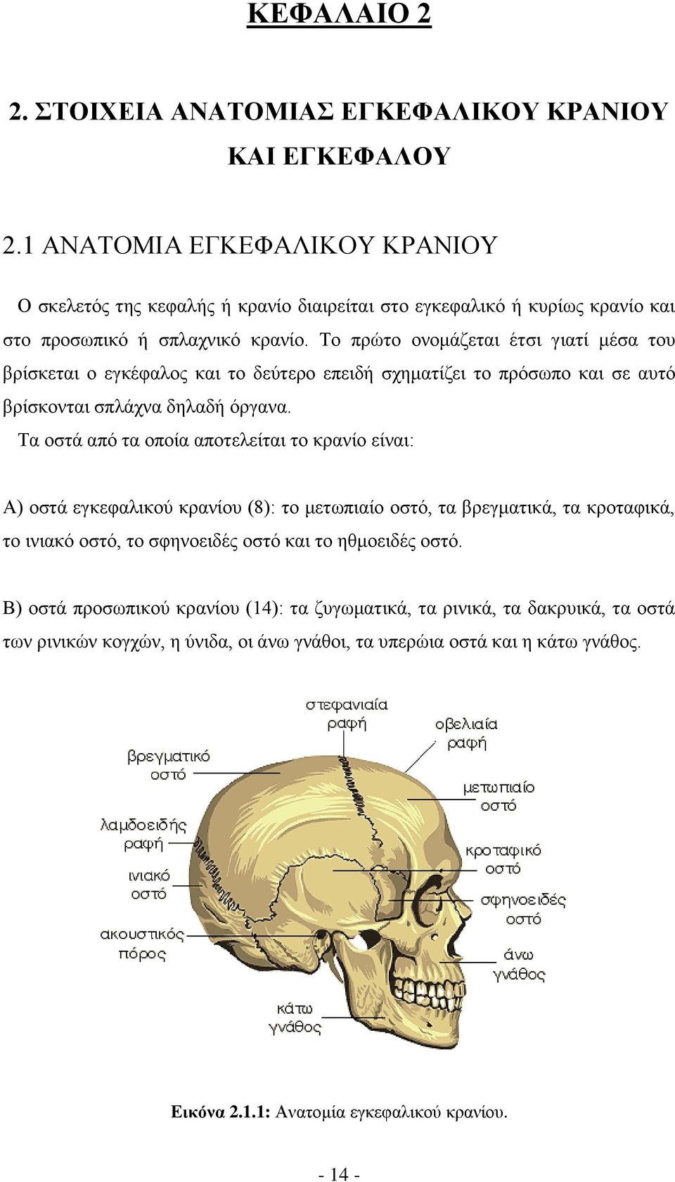 Το πρώτο ονομάζεται έτσι γιατί μέσα του βρίσκεται ο εγκέφαλος και το δεύτερο επειδή σχηματίζει το πρόσωπο και σε αυτό βρίσκονται σπλάχνα δηλαδή όργανα.