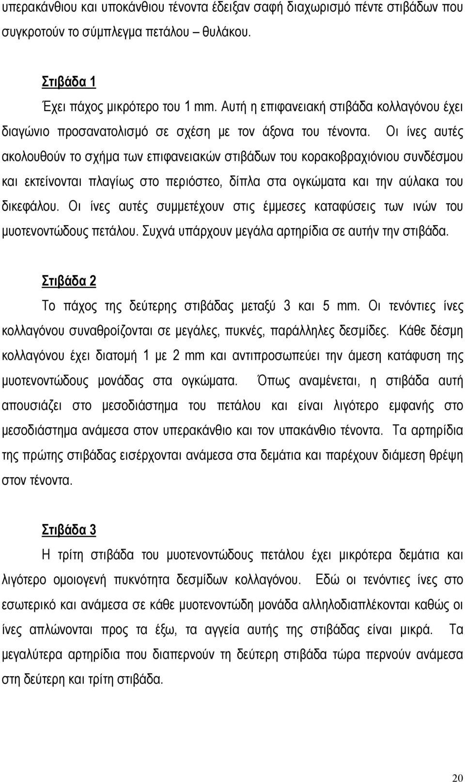 Οι ίνες αυτές ακολουθούν το σχήµα των επιφανειακών στιβάδων του κορακοβραχιόνιου συνδέσµου και εκτείνονται πλαγίως στο περιόστεο, δίπλα στα ογκώµατα και την αύλακα του δικεφάλου.