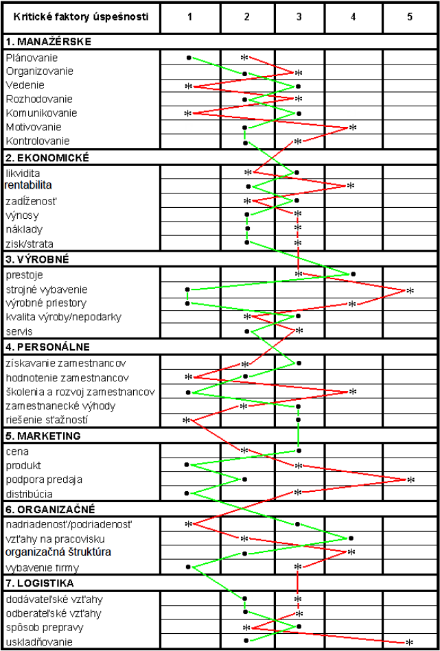 Obr. 8 Príklad spracovaného strategického profilu Zdroj: (Malega, 2009)