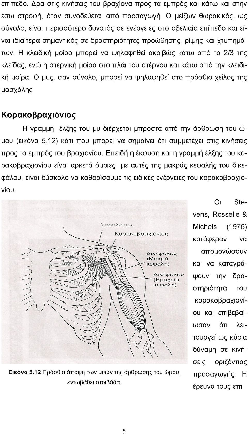 H κλειδική μοίρα μπορεί να ψηλαφηθεί ακριβώς κάτω από τα 2/3 της κλείδας, ενώ η στερνική μοίρα στο πλάι του στέρνου και κάτω από την κλειδική μοίρα.