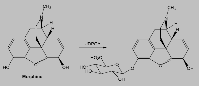 MRFI-3-GLUKURID (glavni metabolit, neaktivan)