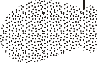 16. In this question, one mark is available for the quality of use and organisation of scientific terms.