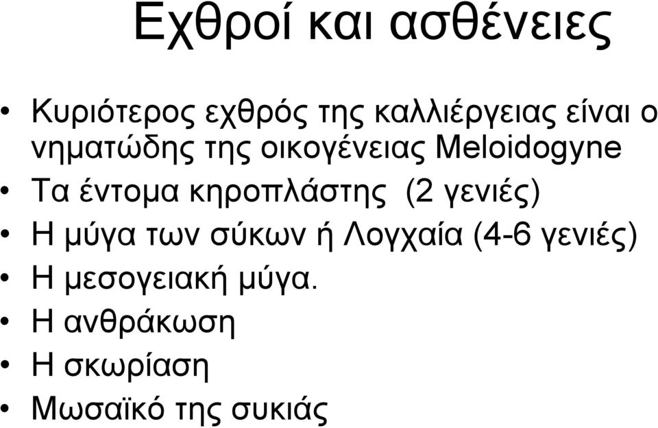 κηροπλάστης (2 γενιές) Η μύγα των σύκων ή Λογχαία (4-6