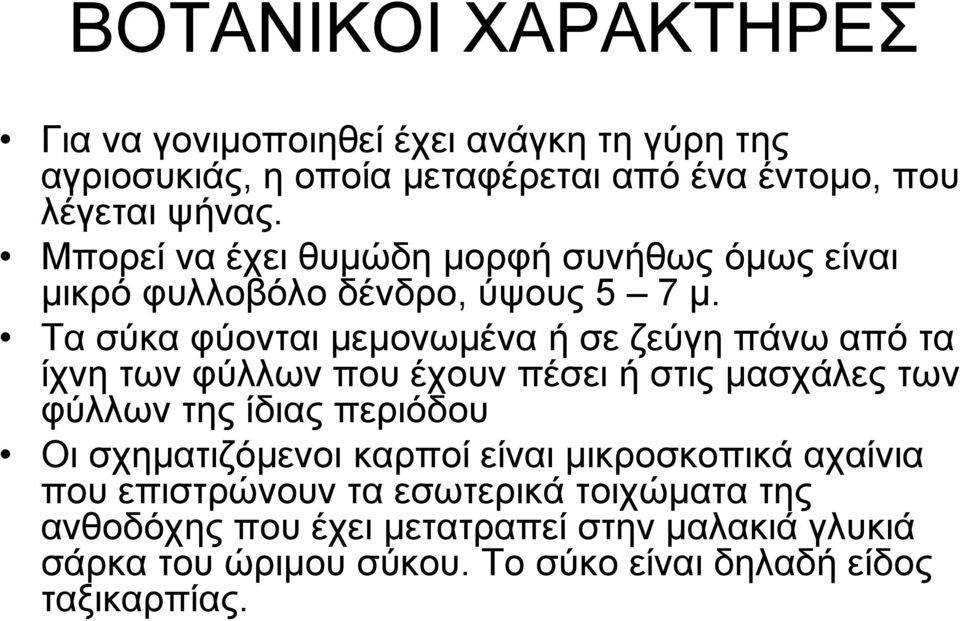 Τα σύκα φύονται μεμονωμένα ή σε ζεύγη πάνω από τα ίχνη των φύλλων που έχουν πέσει ή στις μασχάλες των φύλλων της ίδιας περιόδου Οι