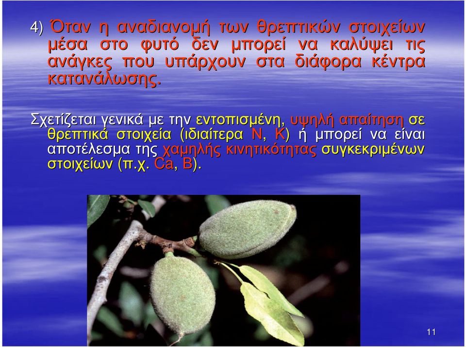 Σχετίζεται γενικά µετην εντοπισµένη, υψηλή απαίτηση σε θρεπτικά στοιχεία