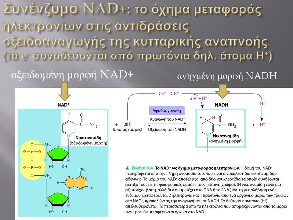 ανηγμένη