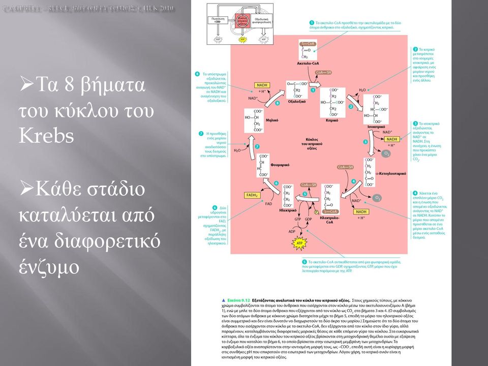 Κάθε στάδιο