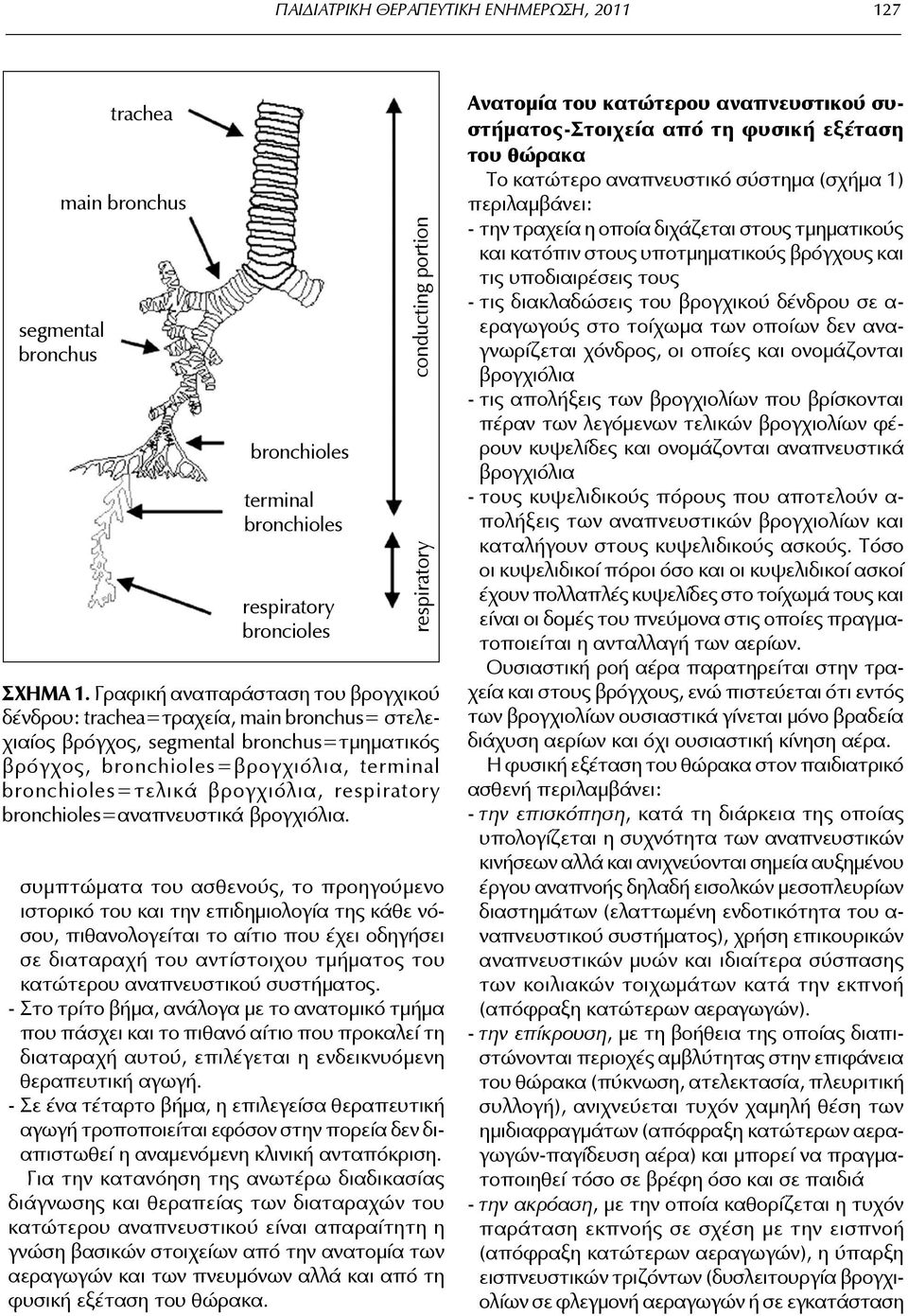 respiratory bronchioles=αναπνευστικά βρογχιόλια.