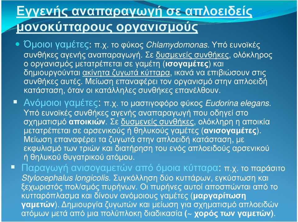 Μείωση επαναφέρει τον οργανισµό στην απλοειδή κατάσταση, όταν οι κατάλληλες συνθήκες επανέλθουν. Ανόµοιοι γαµέτες: π.χ. το µαστιγοφόρο φύκος Eudorina elegans.