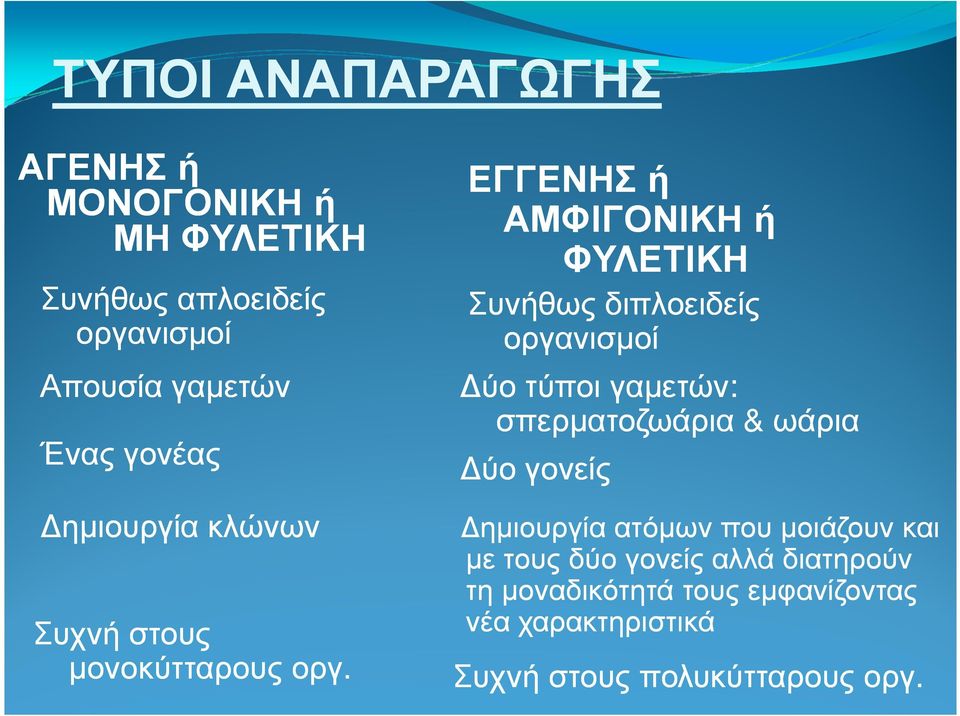 ΕΓΓΕΝΗΣ ή ΑΜΦΙΓΟΝΙΚΗ ή ΦΥΛΕΤΙΚΗ Συνήθως διπλοειδείς οργανισµοί ύο τύποι γαµετών: σπερµατοζωάρια & ωάρια