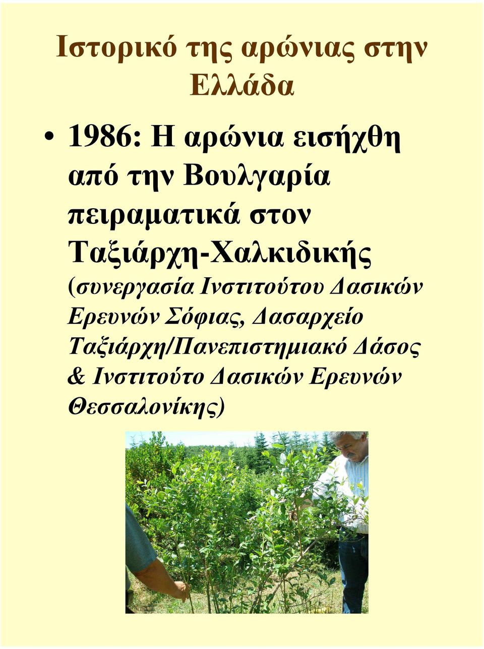 (συνεργασία Ινστιτούτου ασικών Ερευνών Σόφιας, ασαρχείο
