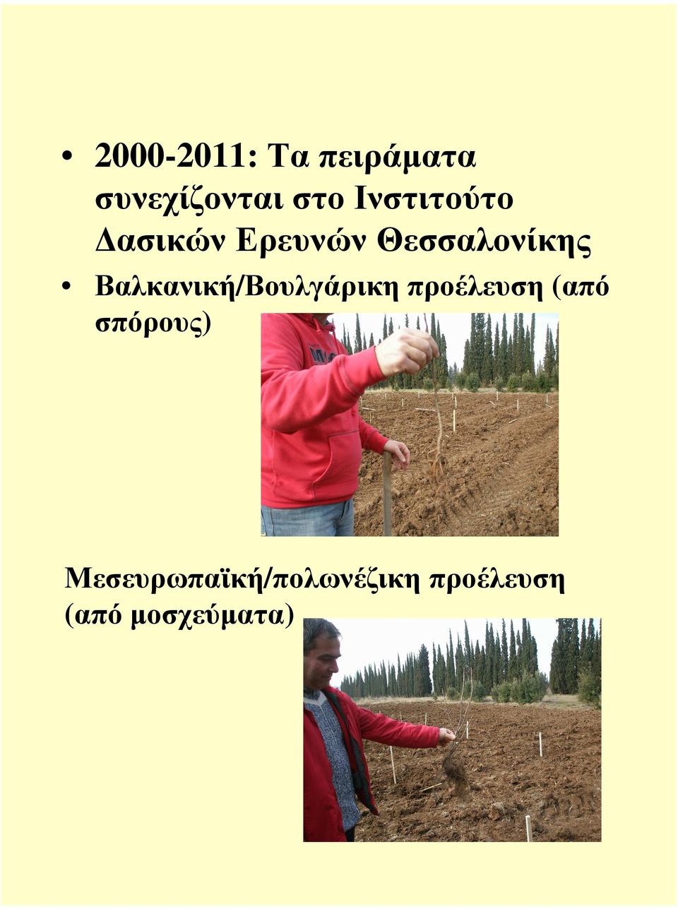 Βαλκανική/Βουλγάρικη προέλευση (από