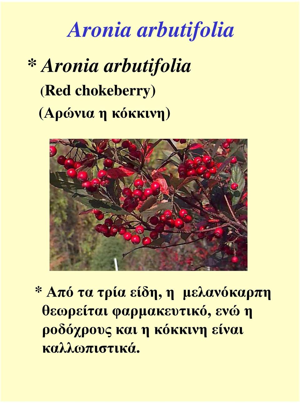 είδη, η µελανόκαρπη θεωρείται φαρµακευτικό,