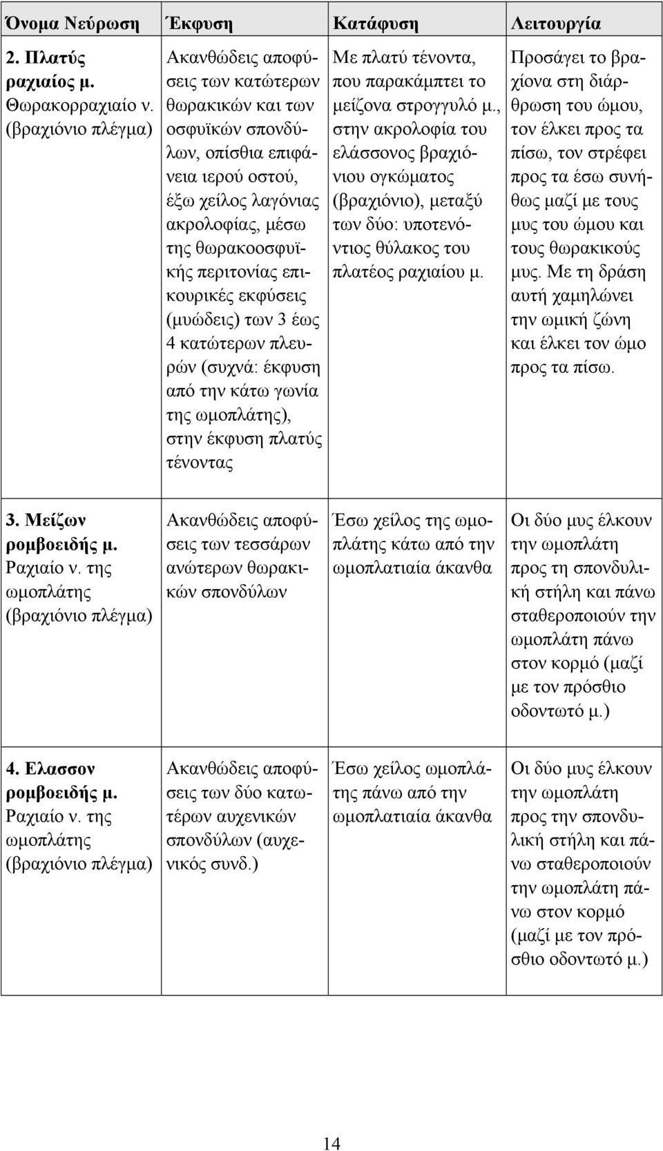 επικουρικές εκφύσεις (μυώδεις) των 3 έως 4 κατώτερων πλευρών (συχνά: έκφυση από την κάτω γωνία της ωμοπλάτης), στην έκφυση πλατύς τένοντας Με πλατύ τένοντα, που παρακάμπτει το μείζονα στρογγυλό μ.