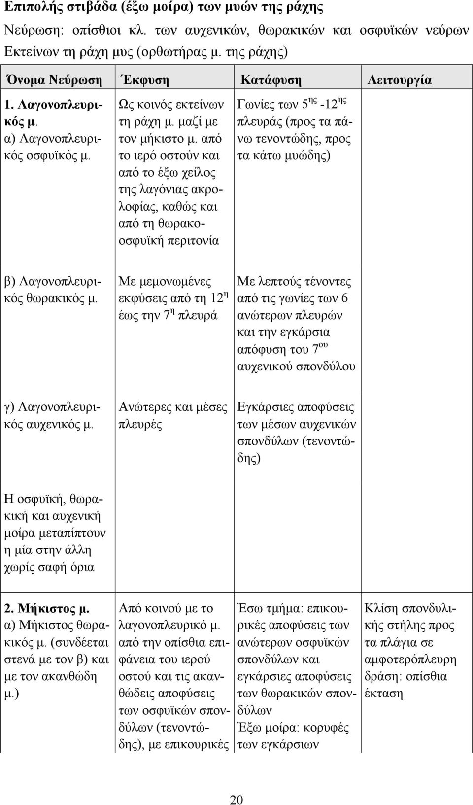 από το ιερό οστούν και από το έξω χείλος της λαγόνιας ακρολοφίας, καθώς και από τη θωρακοοσφυϊκή περιτονία Γωνίες των 5 ης -12 ης πλευράς (προς τα πάνω τενοντώδης, προς τα κάτω μυώδης) β)