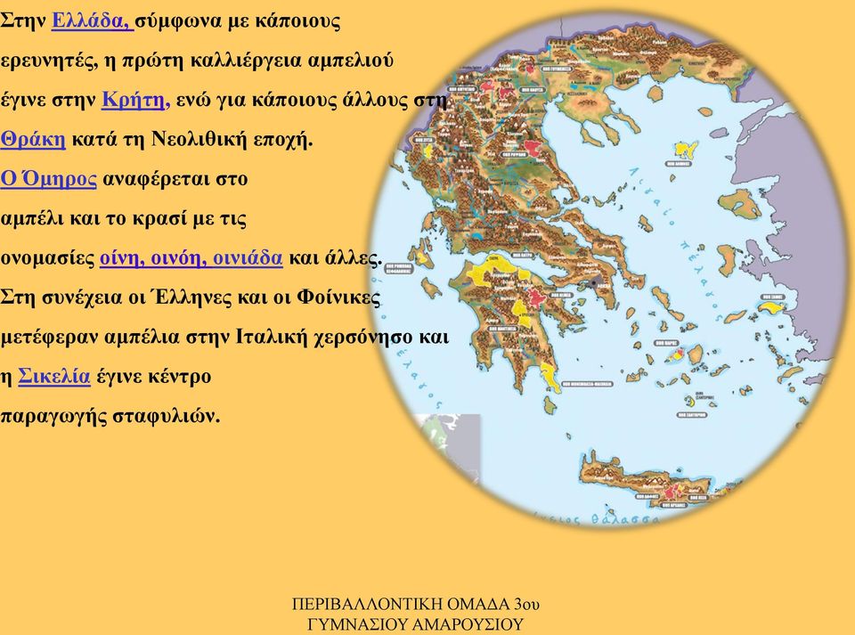 Ο Όμηρος αναφέρεται στο αμπέλι και το κρασί με τις ονομασίες οίνη, οινόη, οινιάδα και άλλες.