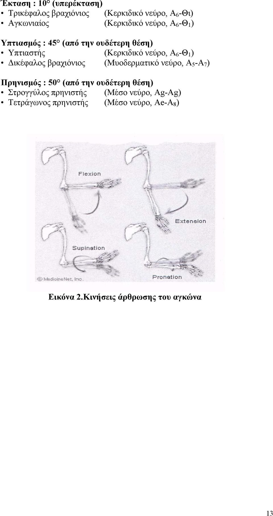 Δικέφαλος βραχιόνιος (Μυοδερματικό νεύρο, Α 5 -Α 7 ) Πρηνισμός : 50 (από την ουδέτερη θέση)