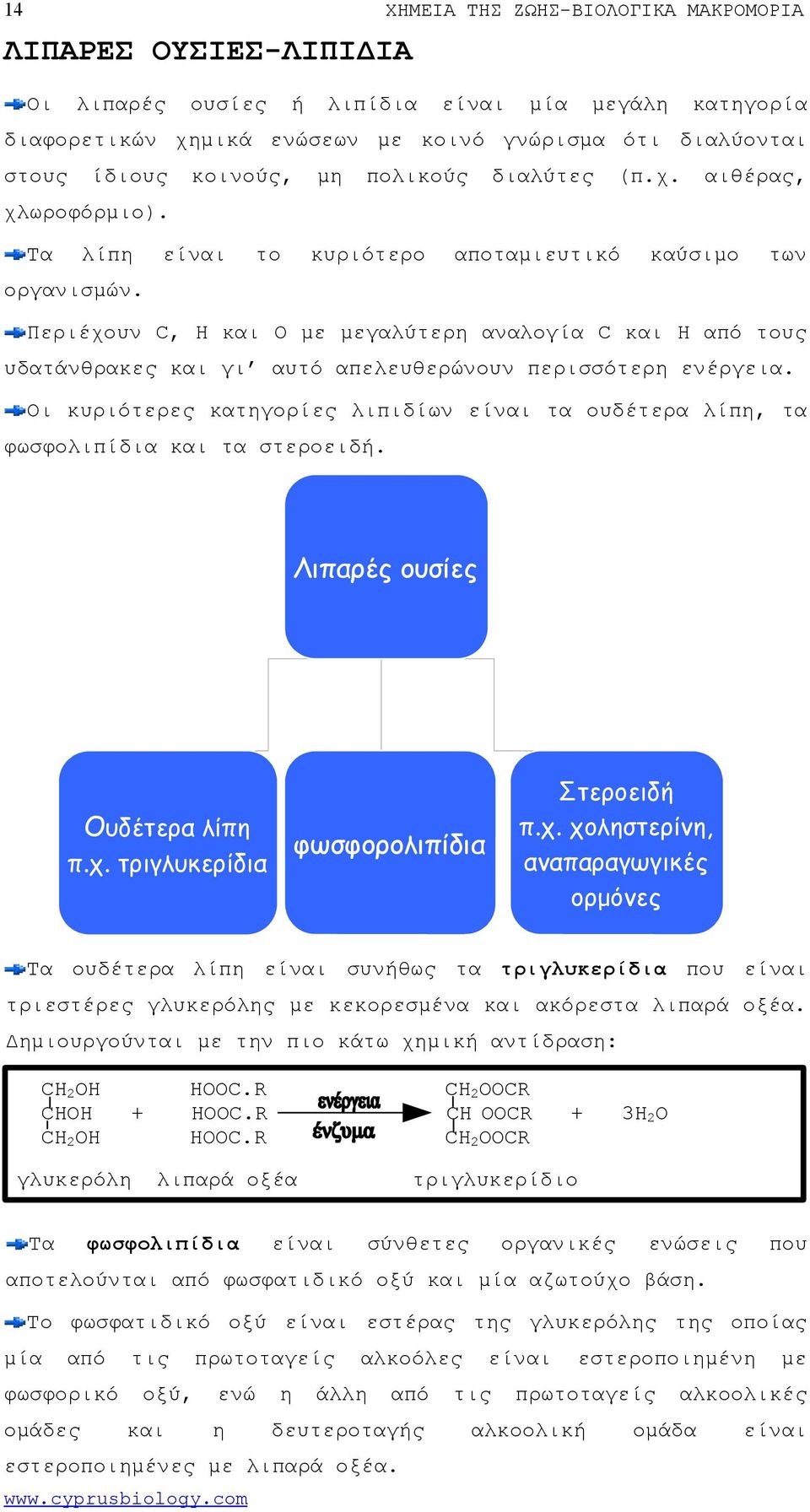 Περιέχουν C, H O γαλύτερη αναλογία C Η τους υδατάνθρακες γι αυτό απελευθερώνουν περισσότερη ενέργεια. Οι κυριότερες κατηγορίες λιπιδίων τα ουδέτερα λίπη, τα φωσφολιπίδια τα στεροειδή.