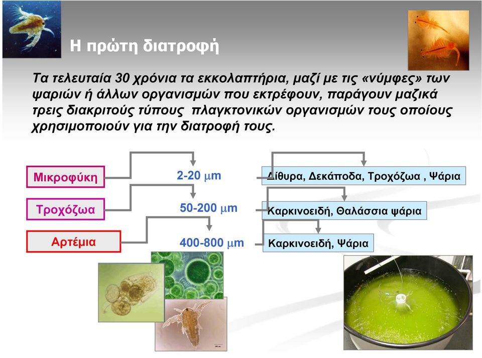 οργανισμών τους οποίους χρησιμοποιούν για την διατροφή τους.