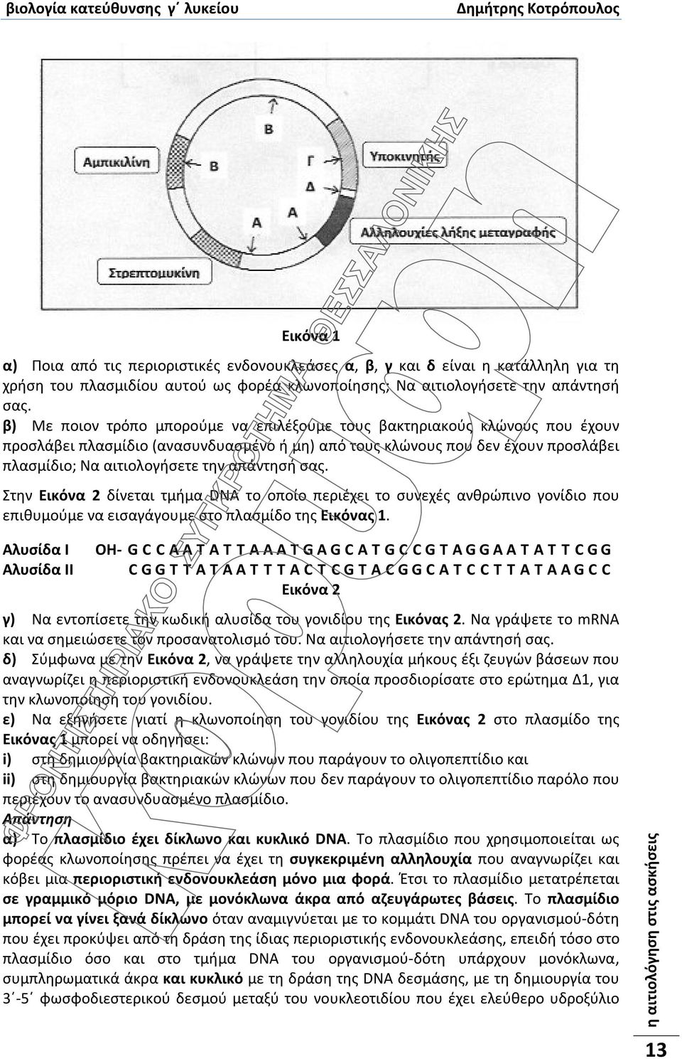 απάντησή σας. Στην Εικόνα 2 δίνεται τμήμα DNA το οποίο περιέχει το συνεχές ανθρώπινο γονίδιο που επιθυμούμε να εισαγάγουμε στο πλασμίδο της Εικόνας 1.