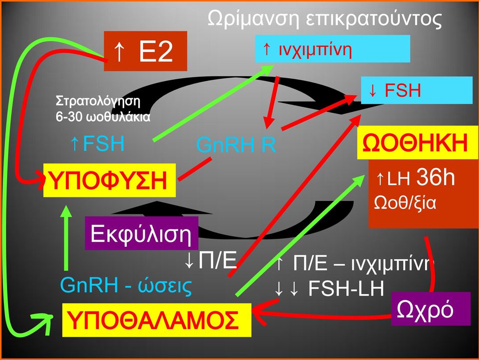 GnRH - ώσεις GnRH R Εκφύλιση Π/Ε