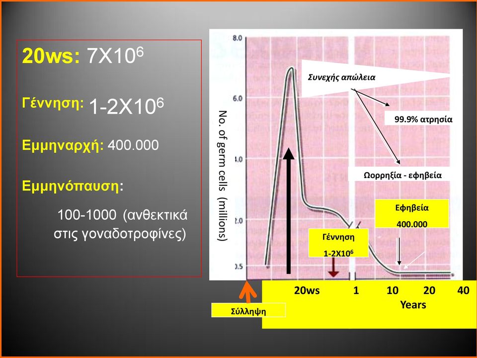 γοναδοτροφίνες) No. of germ cells (millions) Γέννηση 99.