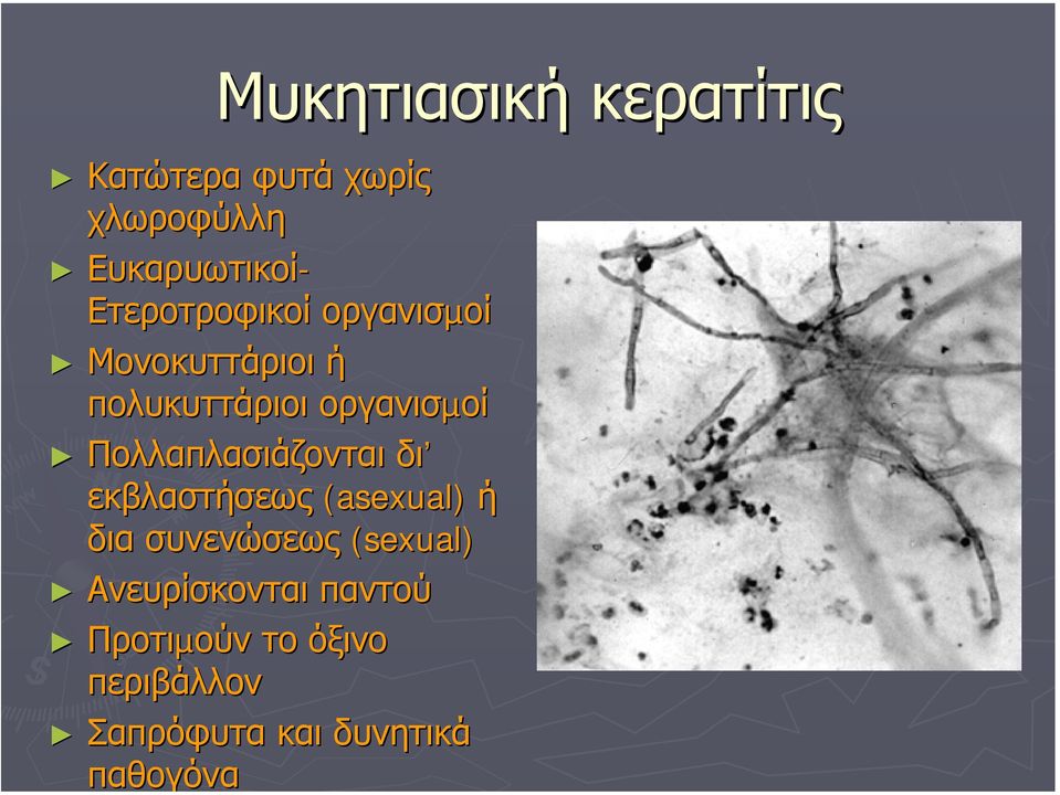 Πολλαπλασιάζονται δι εκβλαστήσεως (asexual) ή δια συνενώσεως (sexual)