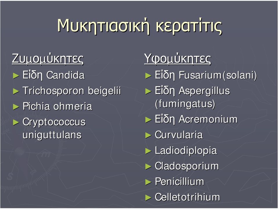 Είδη Fusarium(solani) Είδη Aspergillus (fumingatus) Είδη