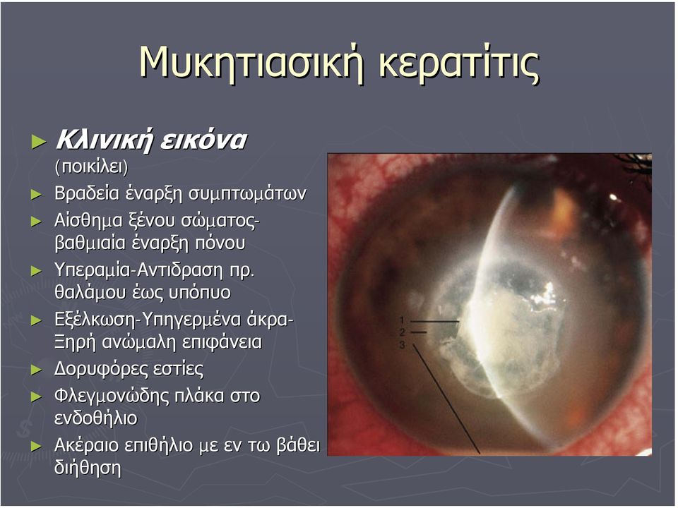 Υπεραµία-Αντιδραση πρ.