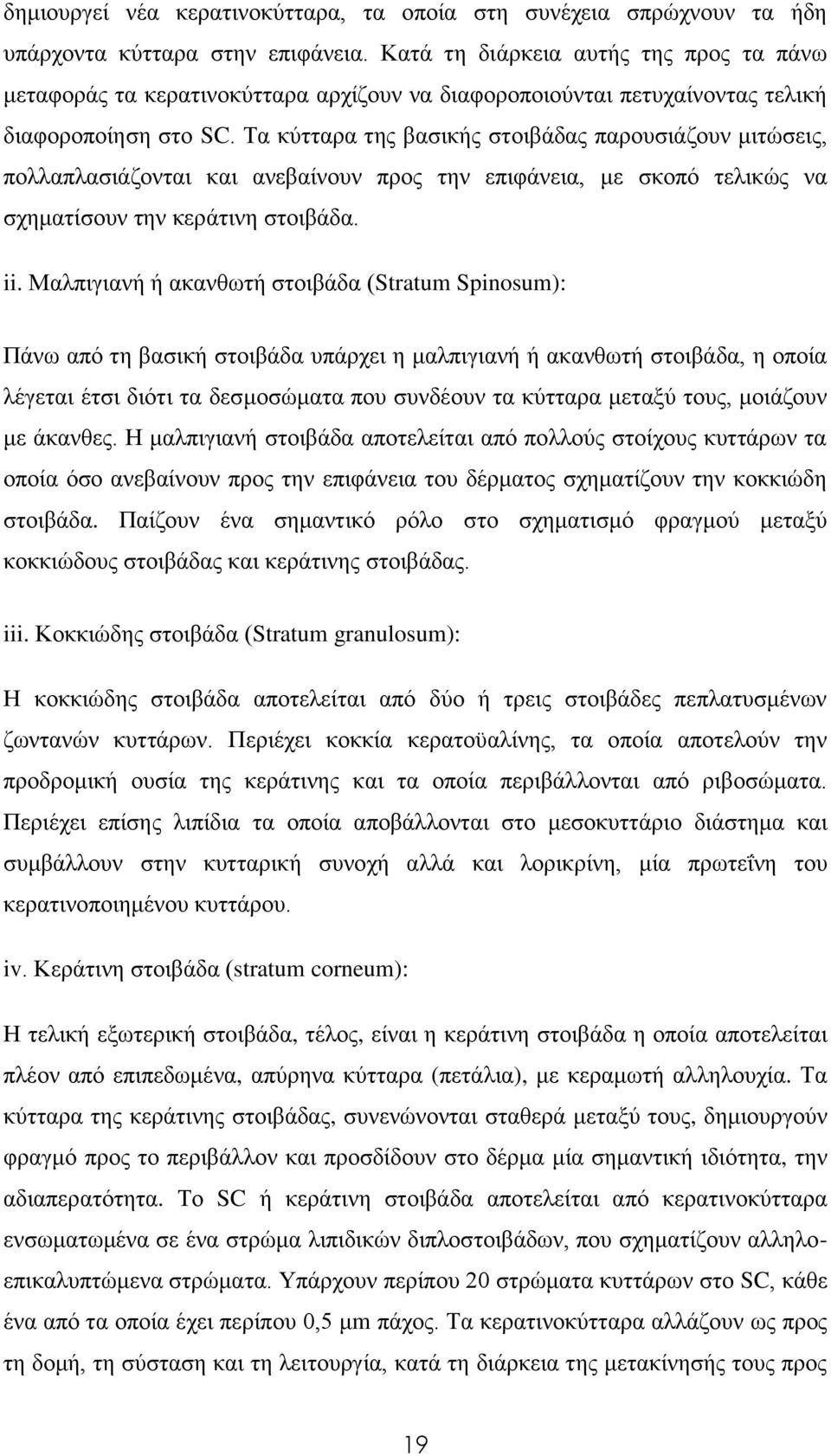 Τα κύτταρα της βασικής στοιβάδας παρουσιάζουν μιτώσεις, πολλαπλασιάζονται και ανεβαίνουν προς την επιφάνεια, με σκοπό τελικώς να σχηματίσουν την κεράτινη στοιβάδα. ii.