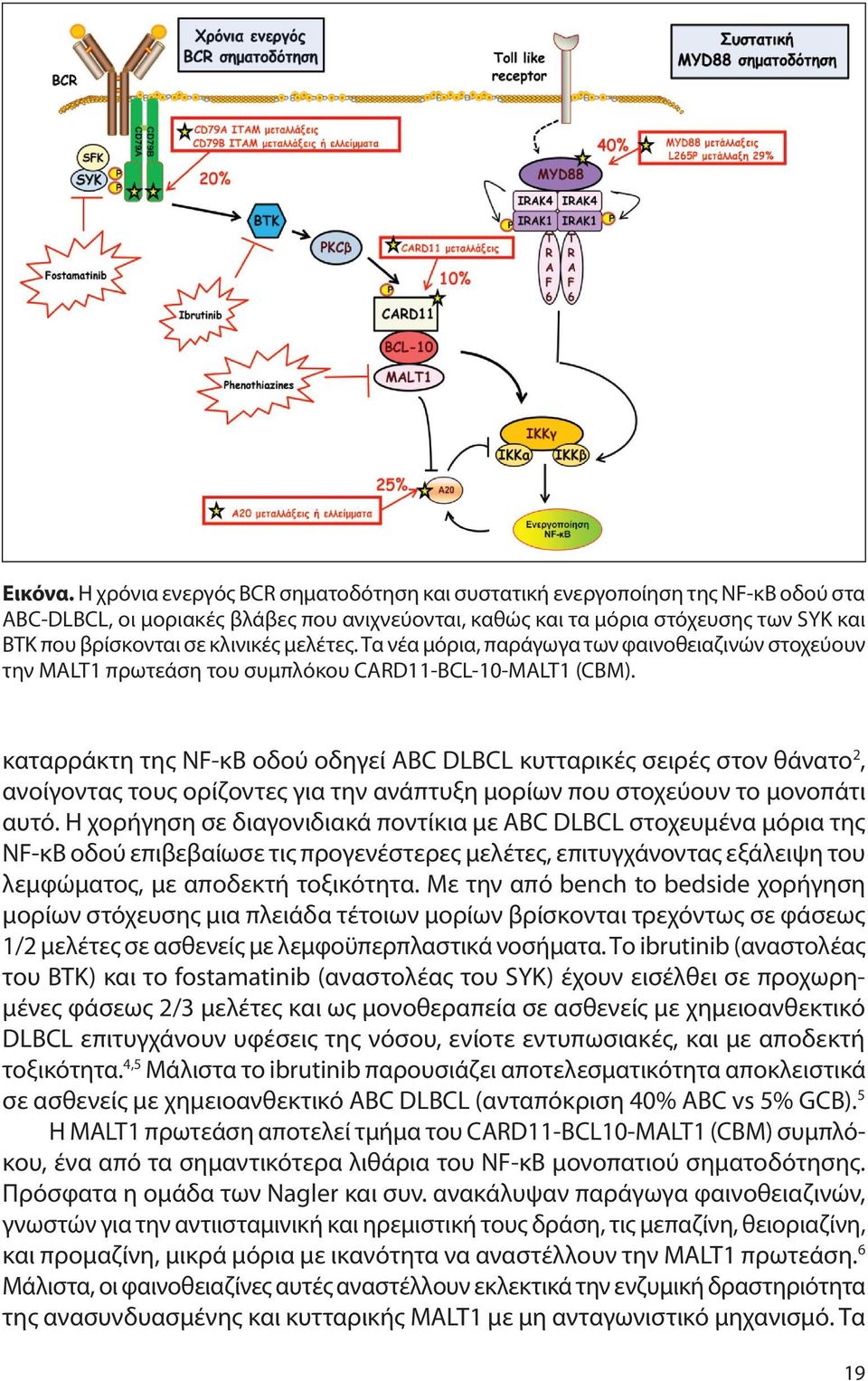 μελέτες. Τα νέα μόρια, παράγωγα των φαινοθειαζινών στοχεύουν την MALT1 πρωτεάση του συμπλόκου CARD11-BCL-10-MALT1 (CBM).