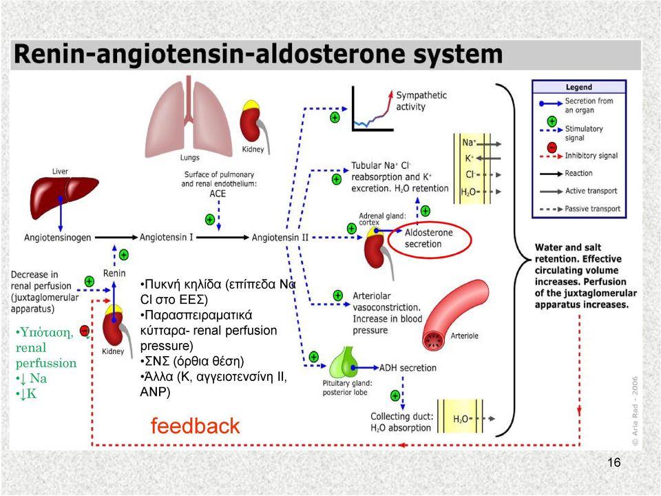 κύτταρα- renal perfusion pressure) ΣΝΣ