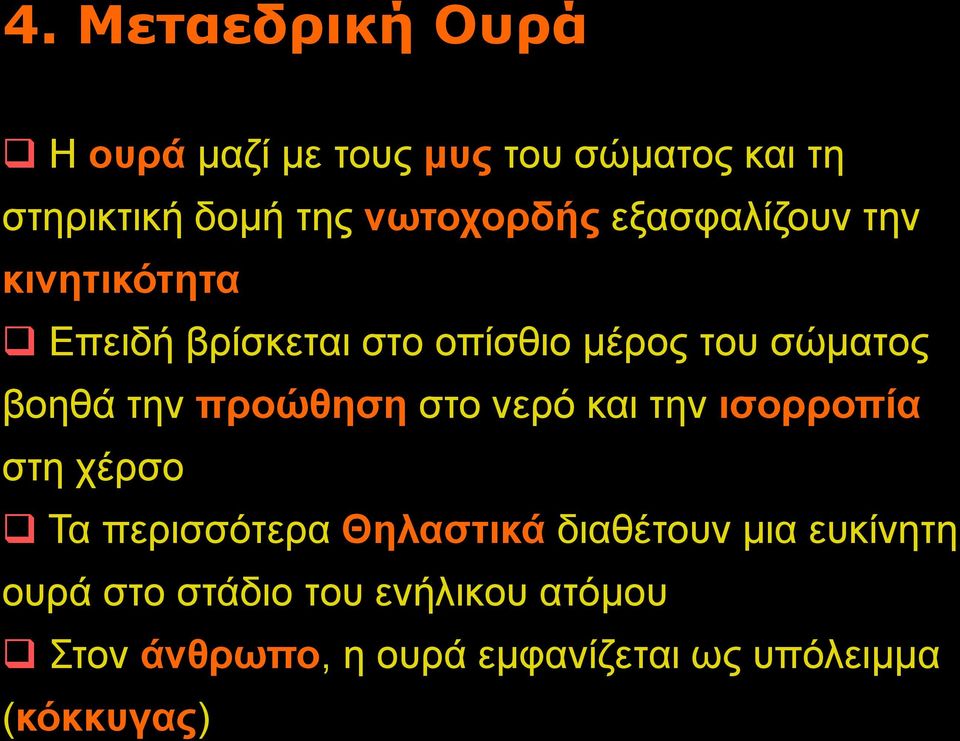 βοηθά την προώθηση στο νερό και την ισορροπία στη χέρσο Τα περισσότερα Θηλαστικά διαθέτουν