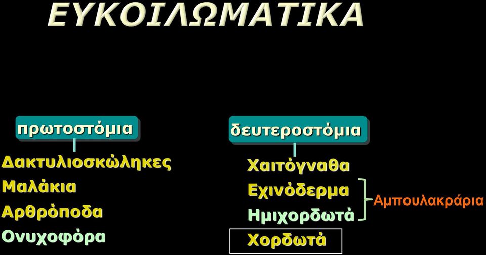 δευτεροστόμια Χαιτόγναθα