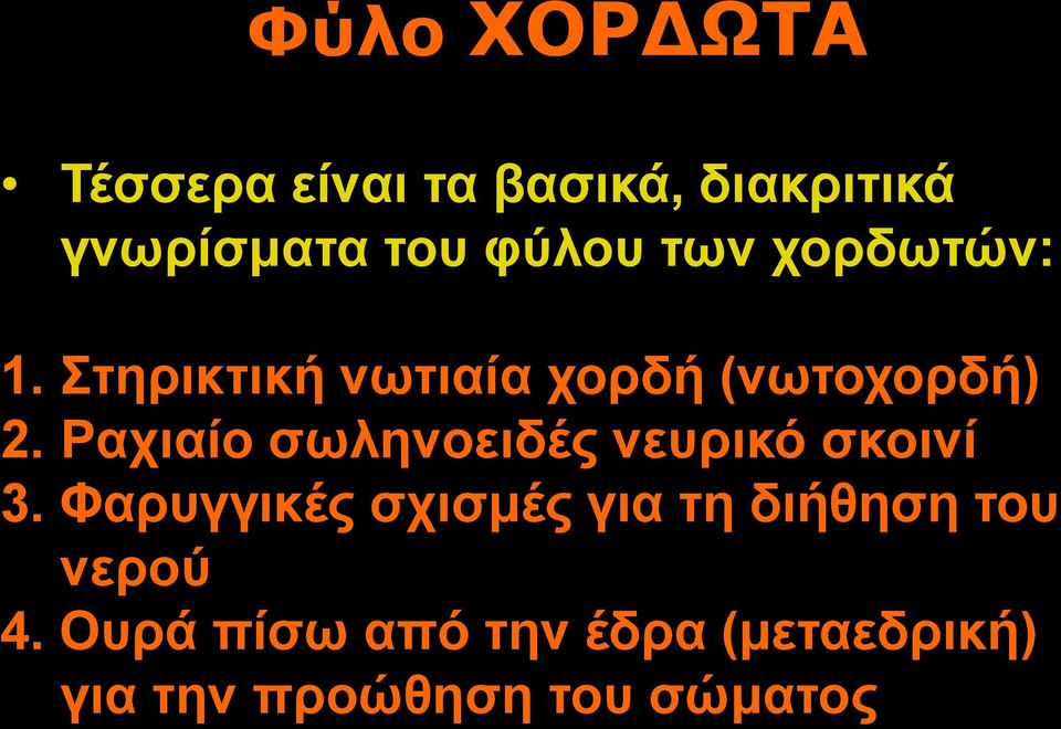 Ραχιαίο σωληνοειδές νευρικό σκοινί 3.