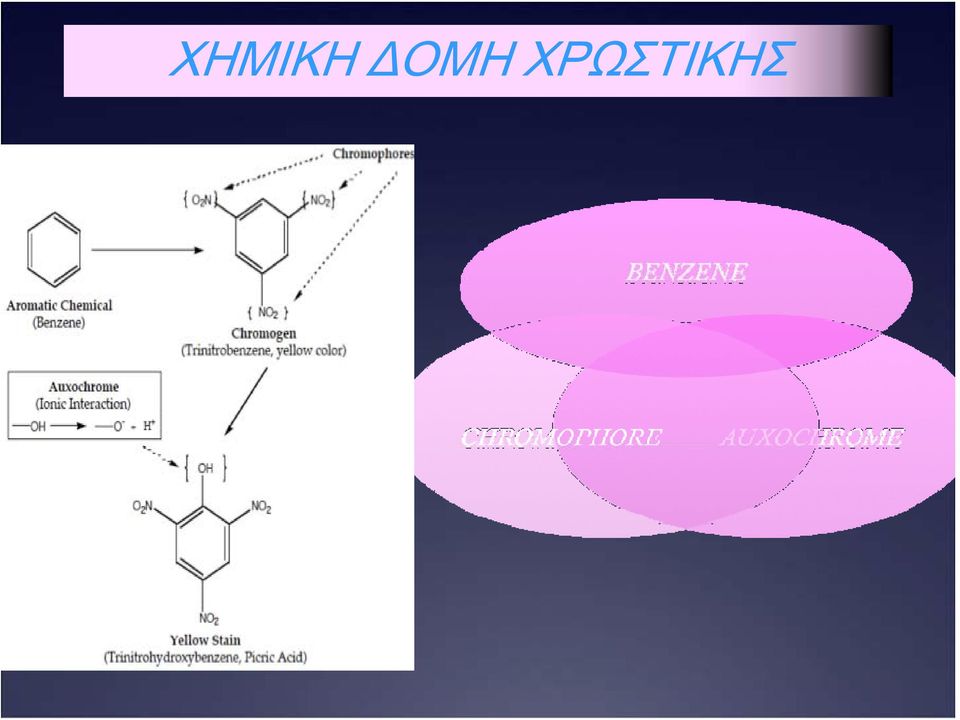 ΧΡΩΣΤΙΚΗΣ