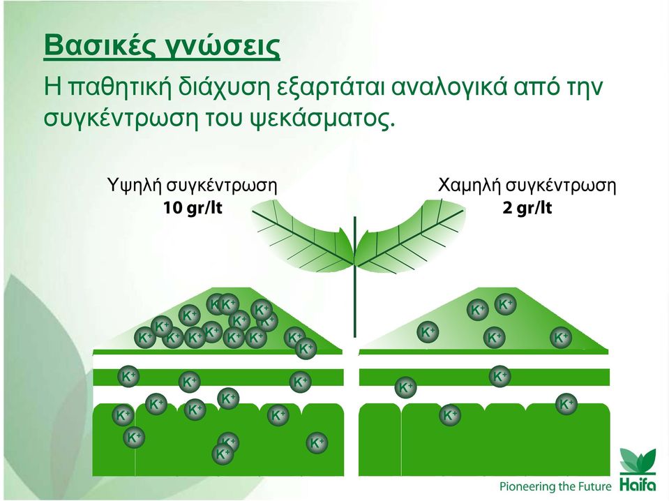 Υψηλή συγκέντρωση 10 gr/lt Χαμηλή συγκέντρωση 2 gr/lt K + K + K + K + K