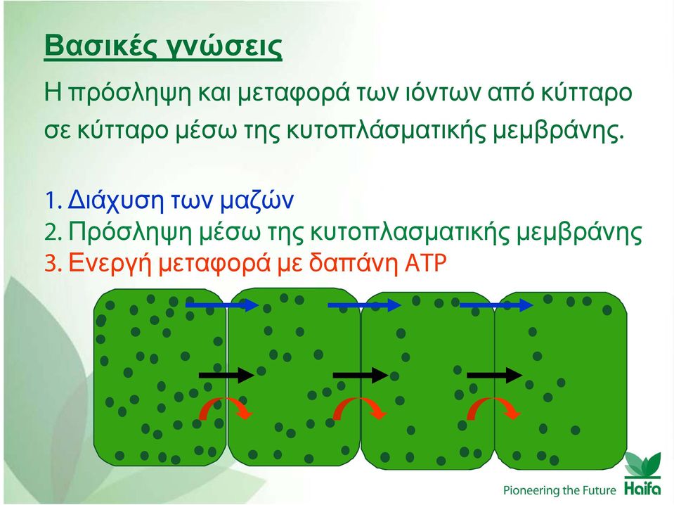 μεμβράνης. 1. Διάχυση των μαζών 2.