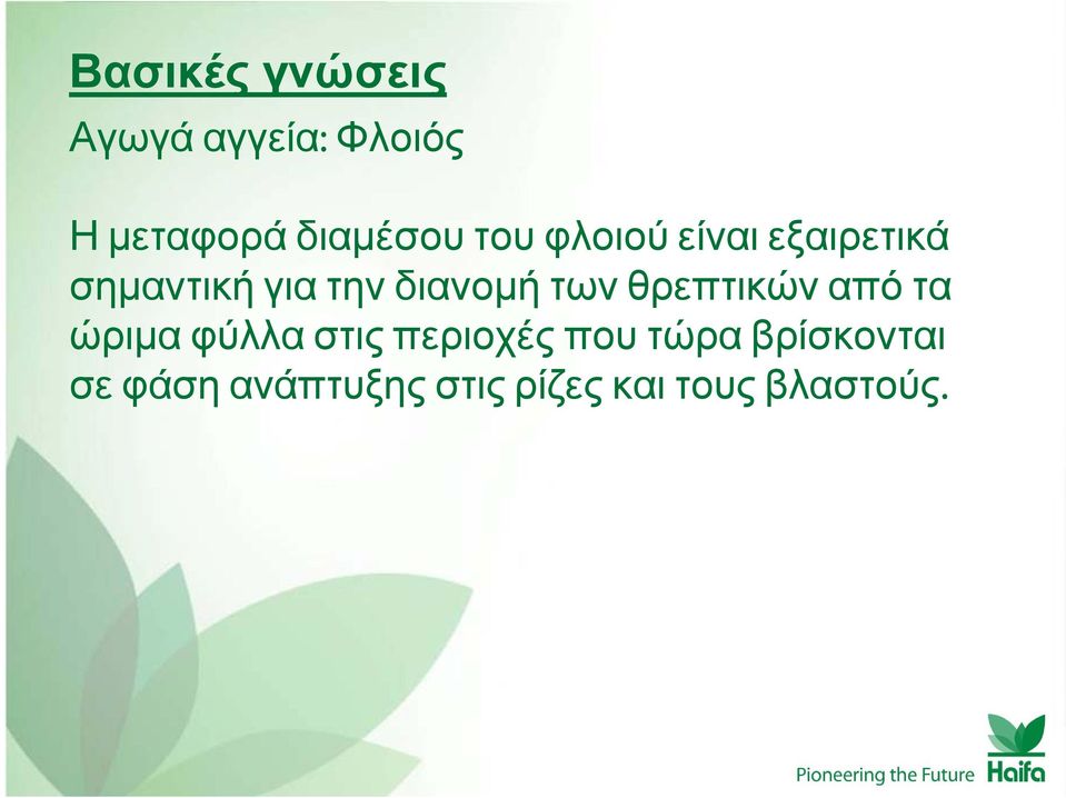 των θρεπτικών από τα ώριμα φύλλα στις περιοχές που τώρα