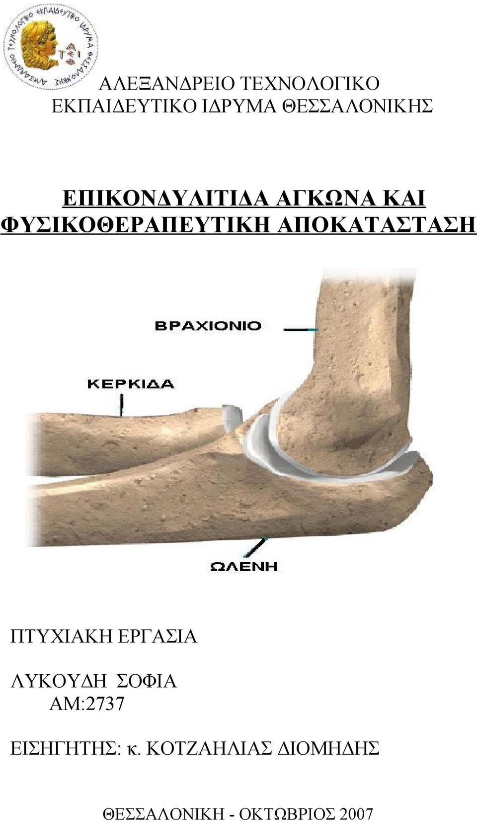 ΦΥΣΙΚΟΘΕΡΑΠΕΥΤΙΚΗ ΑΠΟΚΑΤΑΣΤΑΣΗ ΠΤΥΧΙΑΚΗ ΕΡΓΑΣΙΑ