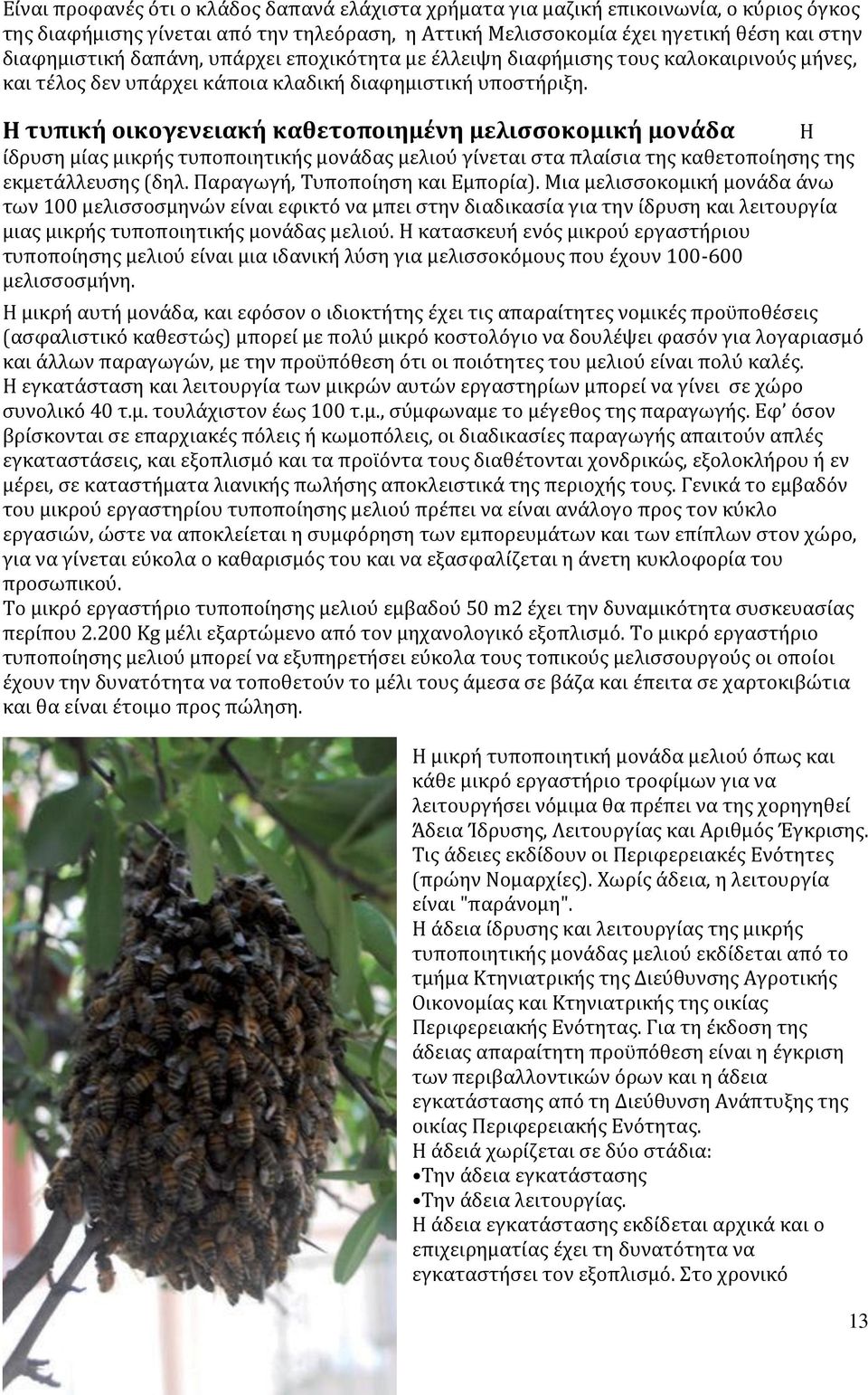 Η τυπική οικογενειακή καθετοποιημένη μελισσοκομική μονάδα Η ίδρυση μίας μικρής τυποποιητικής μονάδας μελιού γίνεται στα πλαίσια της καθετοποίησης της εκμετάλλευσης (δηλ.