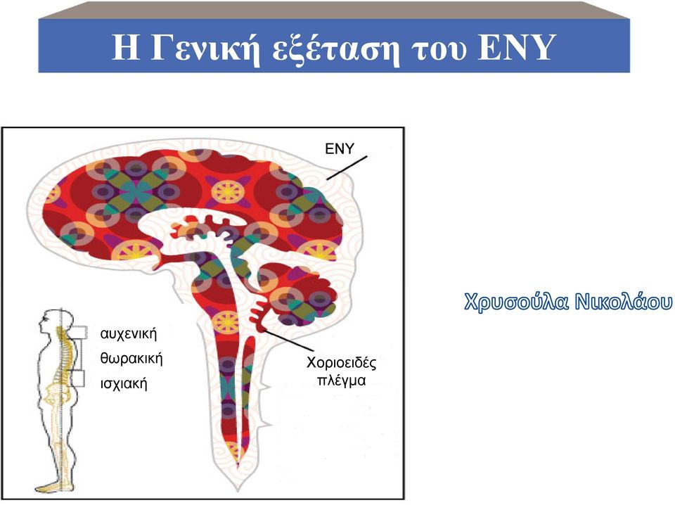 αυχενική θωρακική