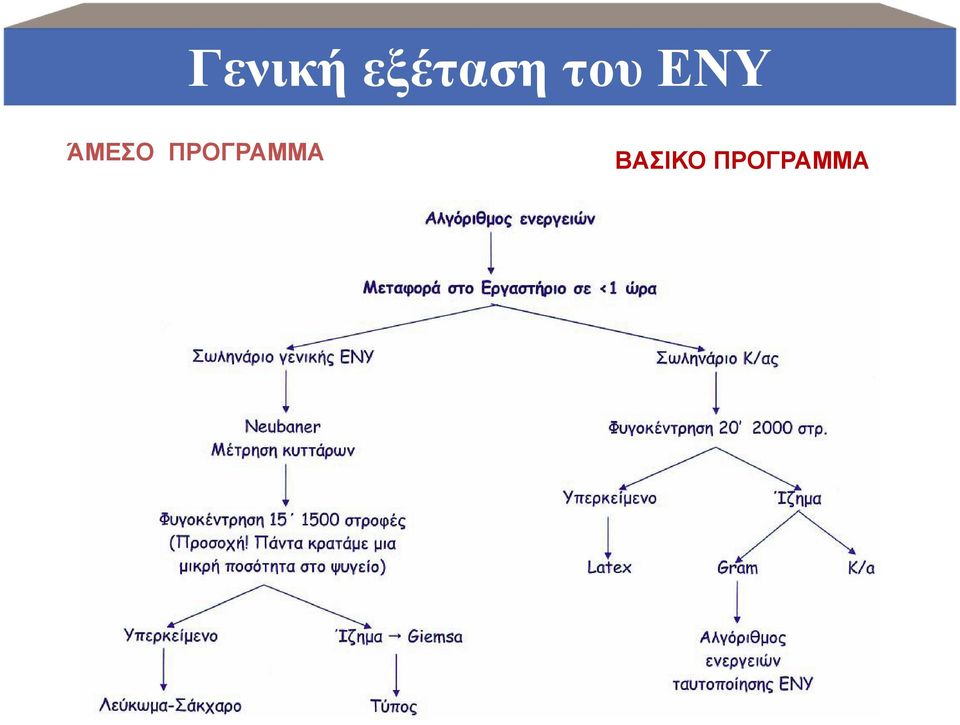 ΕΝΥ ΆΜΕΣΟ