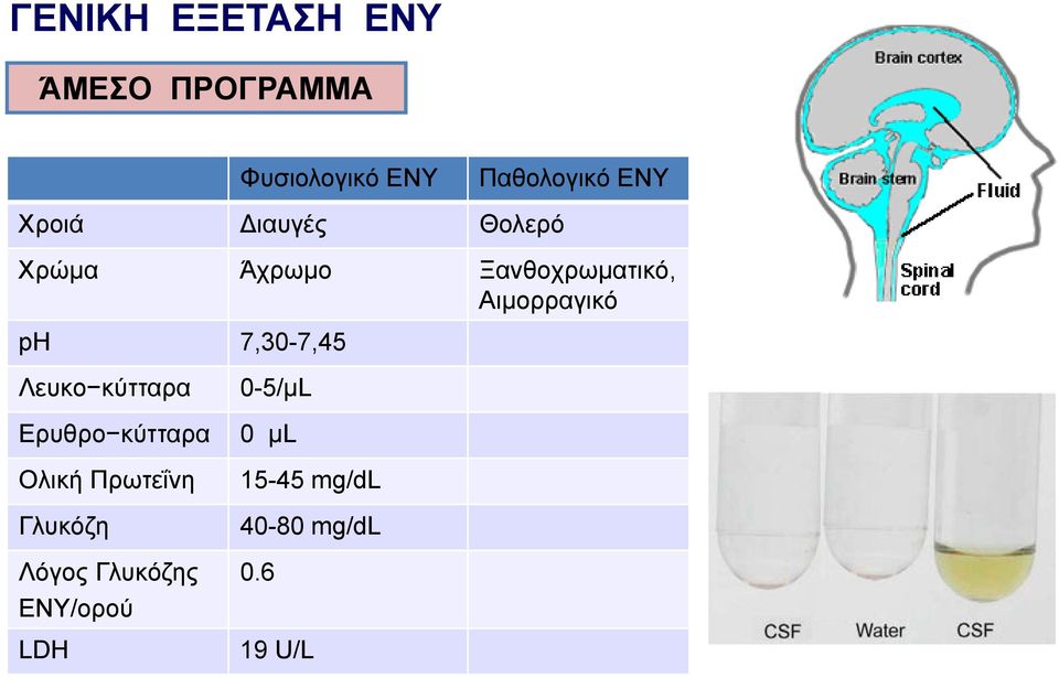 7,30-7,45 Λευκο κύτταρα Ερυθρο κύτταρα Ολική Πρωτεΐνη Γλυκόζη