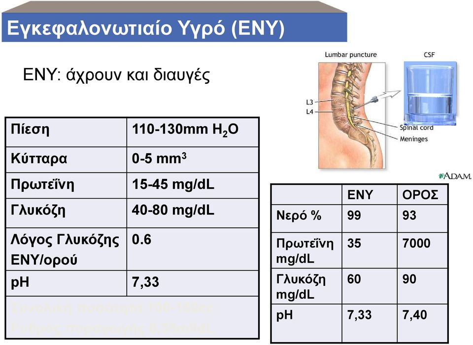 % 99 93 Λόγος Γλυκόζης 0.