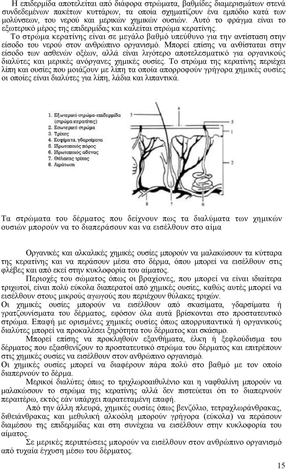 To στρώµα κερατίνης είναι σε µεγάλο βαθµό υπεύθυνο για την αντίσταση στην είσοδο του νερού στον ανθρώπινο οργανισµό.