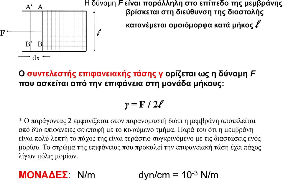 παρανομαστή διότι η μεμβράνη αποτελείται από δύο επιφάνειες σε επαφή με το κινούμενο τμήμα.