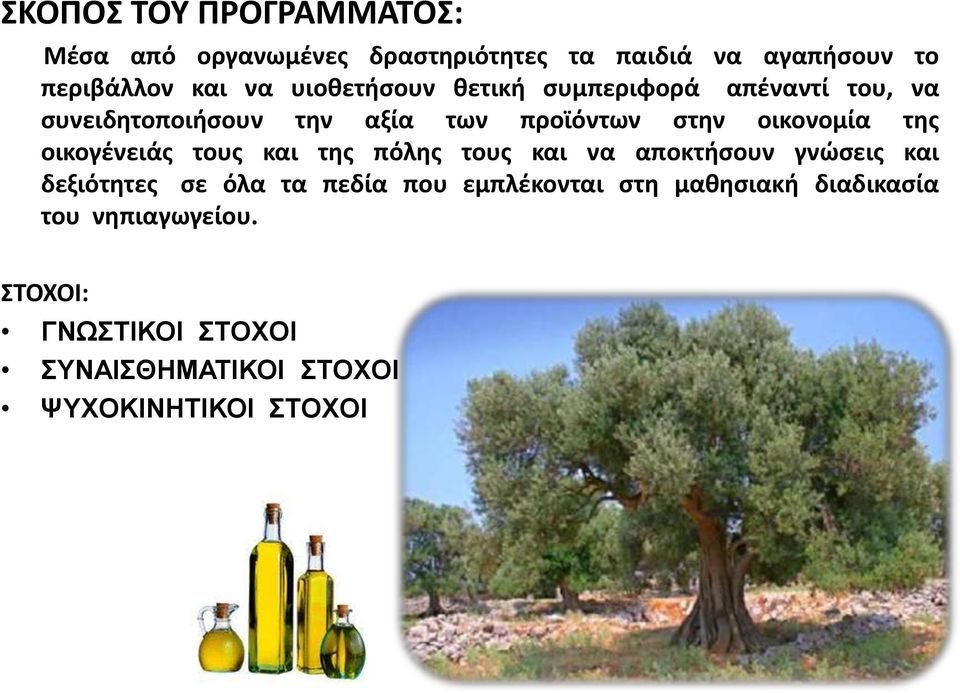 οικογένειάς τους και της πόλης τους και να αποκτήσουν γνώσεις και δεξιότητες σε όλα τα πεδία που εμπλέκονται